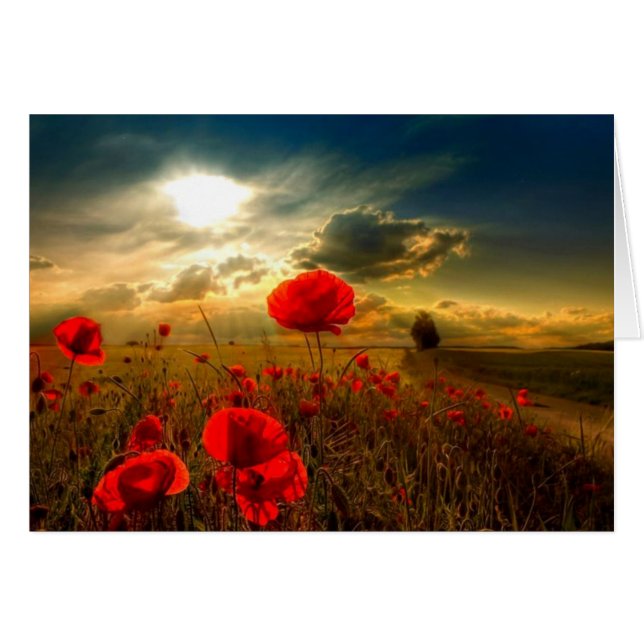 Poppies (Devant horizontal)
