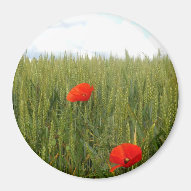 Poppies dans un champ de blé Grand aimant rond (Devant)