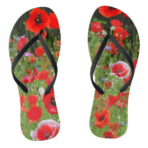 Poppies rouges Champ Rouge Blanc Tongs