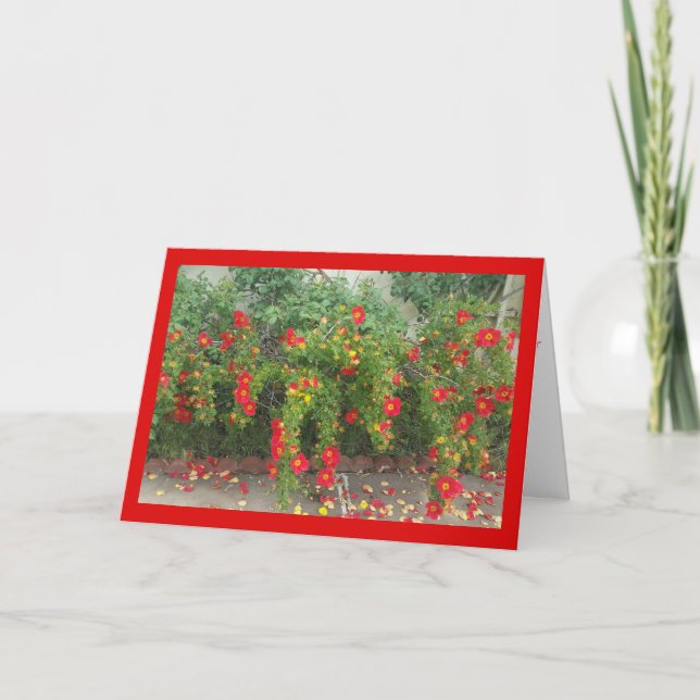 Popping Red Blooms - Chanson de Sol. Carte de voeu (Devant)