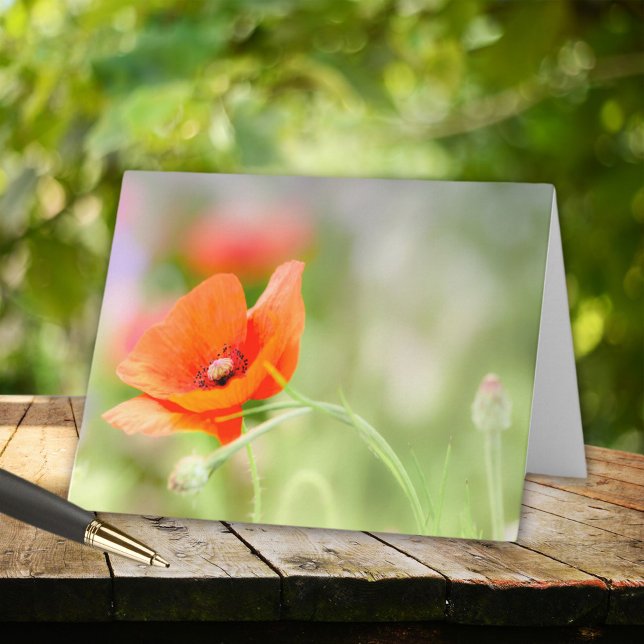 Poppy (Créateur téléchargé)