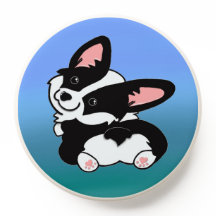 Corgi blanc cardigan blanc mignon avec des toebean