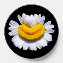 Sourire charmant de camomille