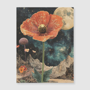 Populaire Orange Sous La Lumière De La Lune