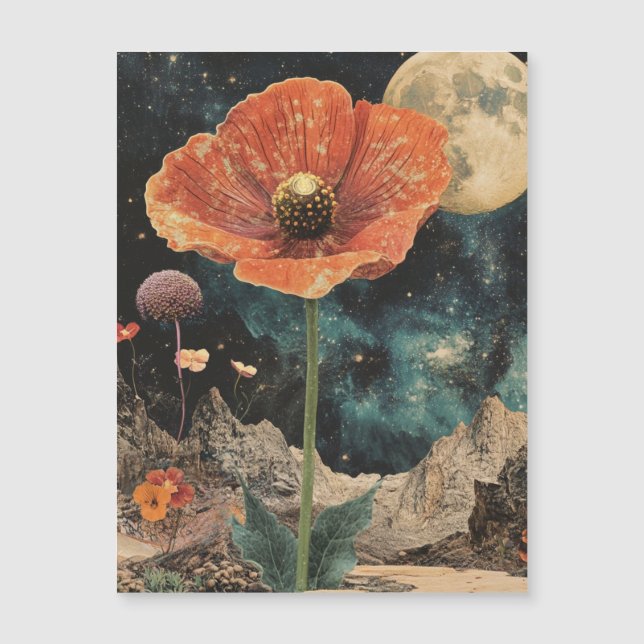 Populaire Orange Sous La Lumière De La Lune (Devant)