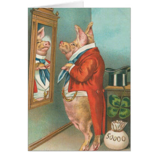 Porc attachant son foulard