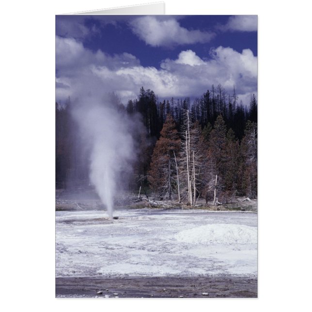 Porc Chop Geyser, Parc national de Yellowstone (Devant)