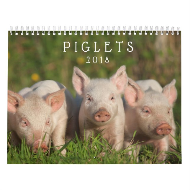 Porcelets doux 2018 - calendrier mural de porcs de (Protection)