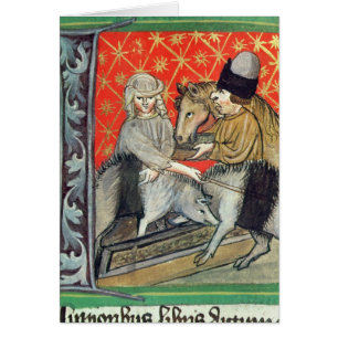 Porcs et chevaux d'élevage