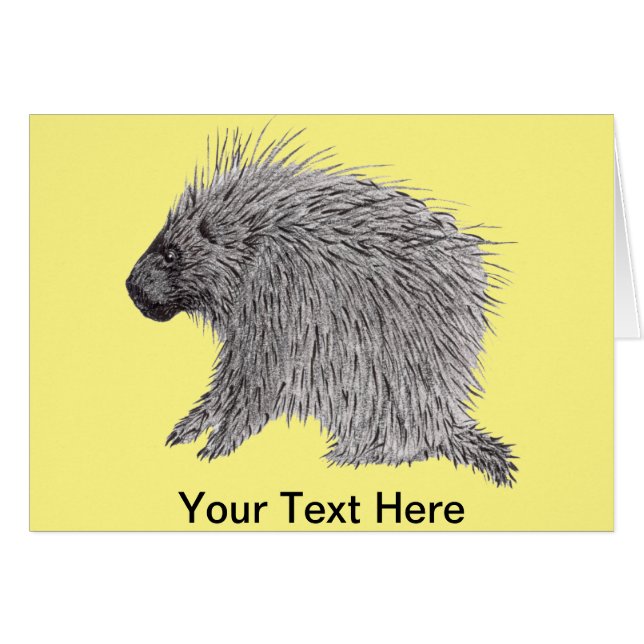 Porcupine (Devant horizontal)