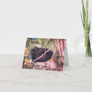 Porcupine Dans La Carte de remerciements Faune De