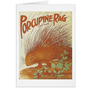 Porcupine Sag Vintage Songbook Couverture