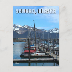 Port de plaisance 1 - Carte postale