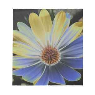 Portable Daisy africain et Bloc-notes Gold