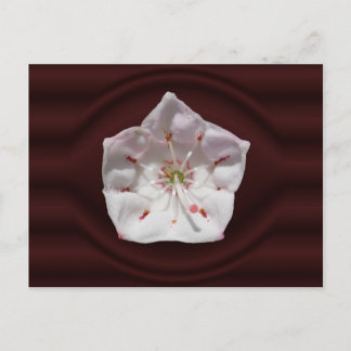 Portail de Mountain Laurel ~ carte postale