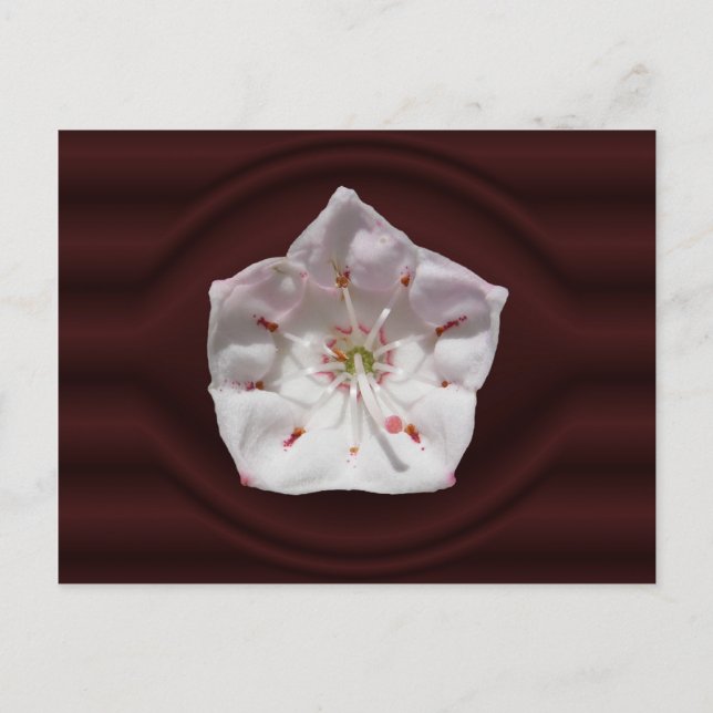 Portail de Mountain Laurel ~ carte postale (Devant)
