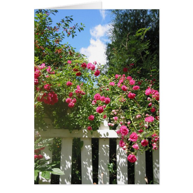 portail du jardin (Devant)