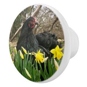 porte à cochon noir poignée de l'armoire tirette à