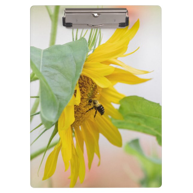 Porte-bloc Abeille Et Tournesol (Devant)
