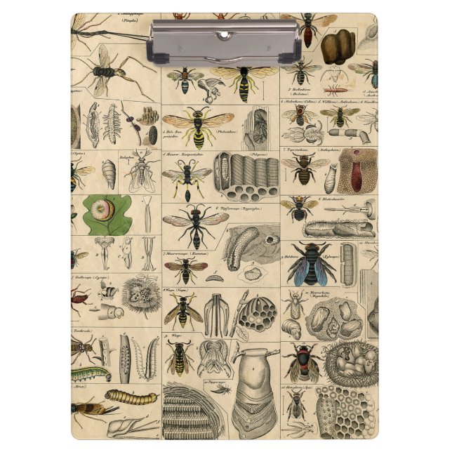 Porte-bloc Abeille Insecte Bug Wasp Nature Peinture des abeil (Devant)