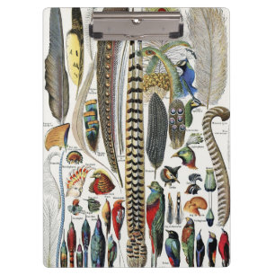 Porte-bloc Adolphe Millot Dark Academia Vintage Plume d'Oisea