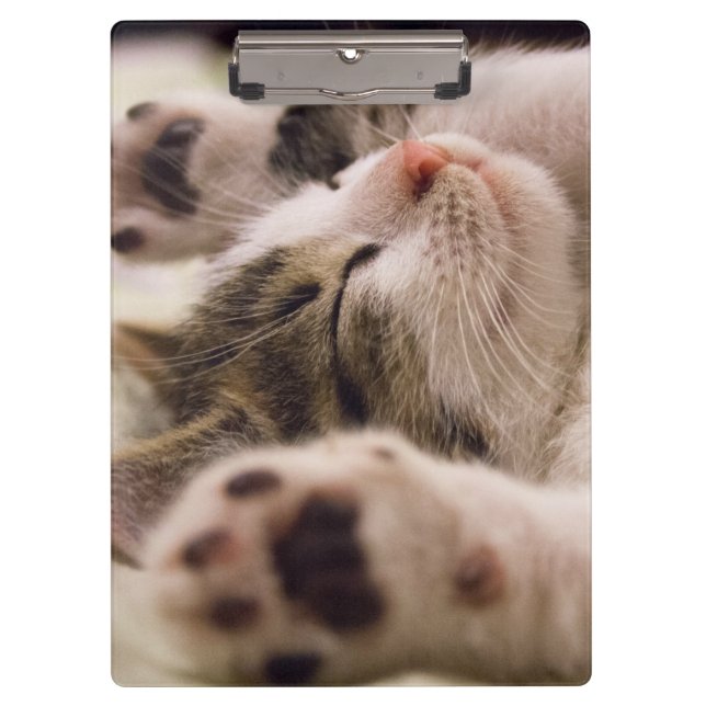 Porte-bloc adorable chaton de couchage (Devant)