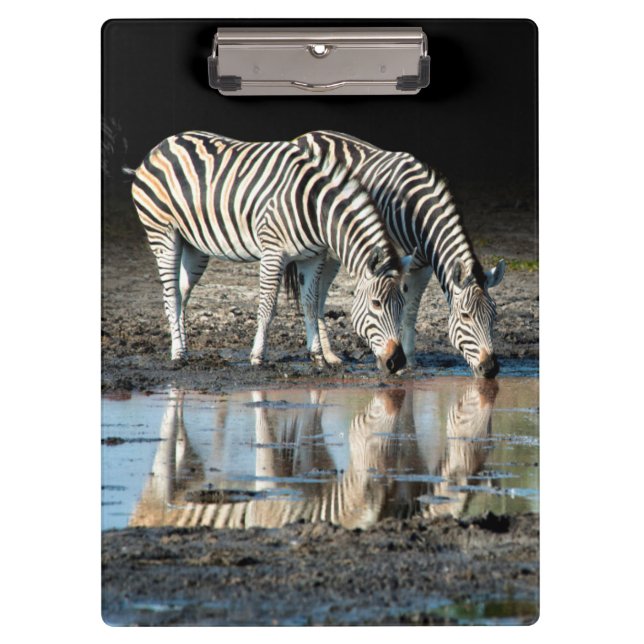 Porte-bloc Afrique,Botswana, Delta de l'Okavango, Davison Cam (Devant)