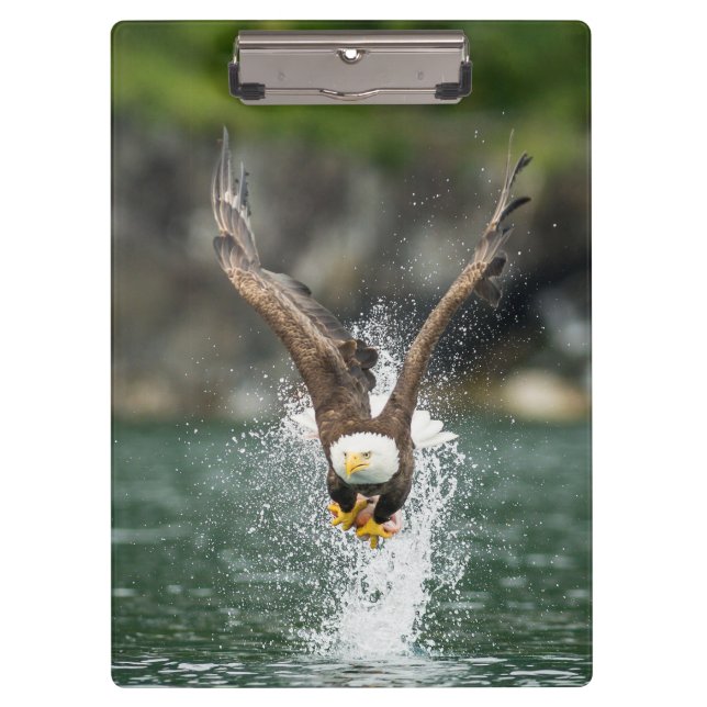 Porte-bloc Aigle Bald Le Gros Catch (Devant)