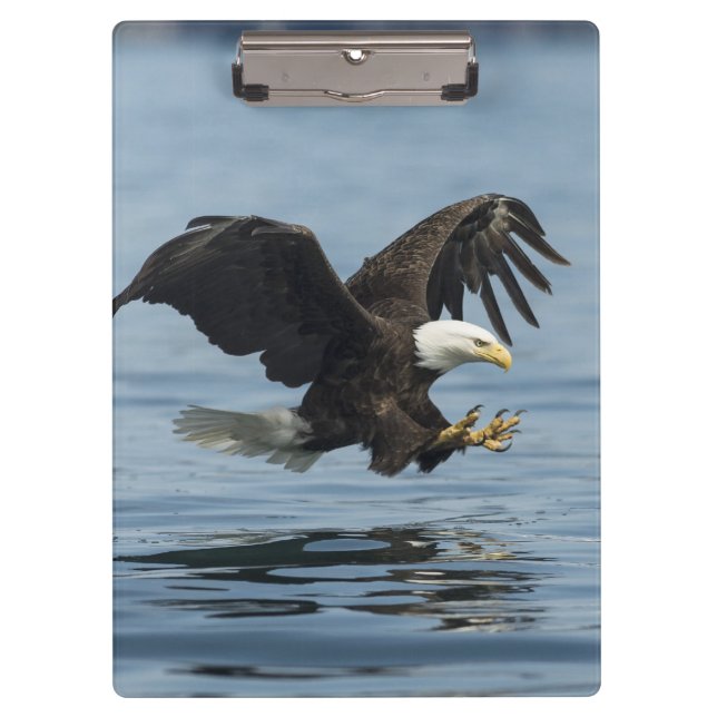Porte-bloc Aigle en approche (Devant)