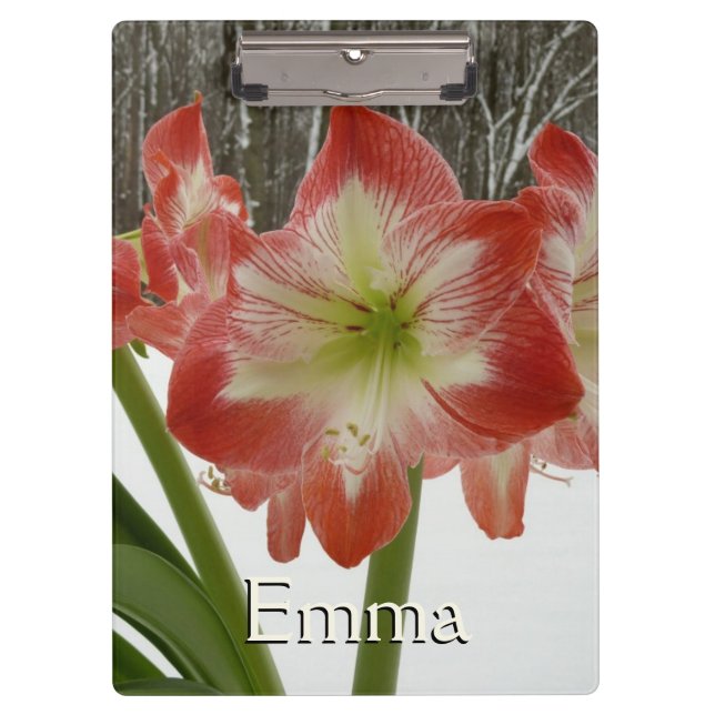 Porte-bloc Amaryllis en Fête Rouge Neige Hiver Floral (Devant)