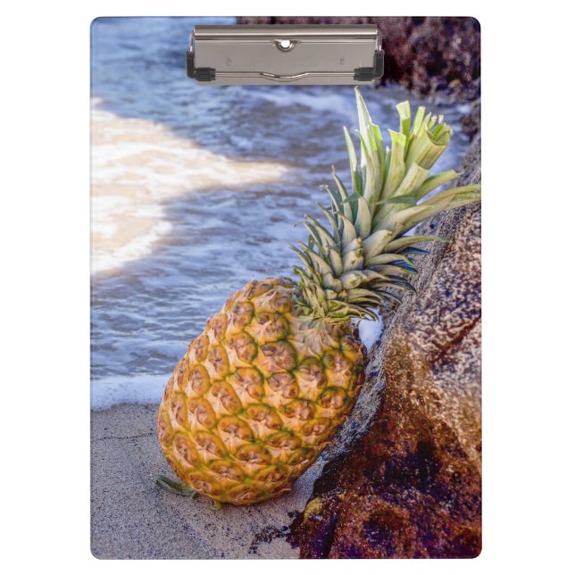 Porte-bloc Ananas penché sur les rochers à la plage (Devant)