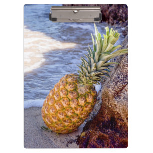 Porte-bloc Ananas sur les rochers à la plage