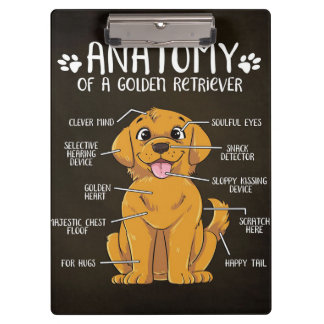 Porte-bloc Anatomie Golden Retriever | Golden Retriever Lover