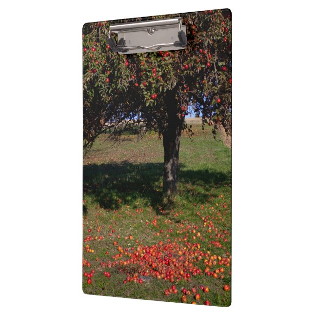 Porte-bloc Ancien arbre à pomme (Gauche)