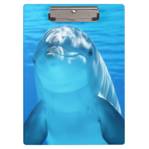 Porte-bloc Animal marin de dauphin mignon en mer bleue
