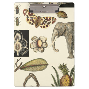 Porte-bloc Animaux assortis peints sur l'arrière - plan crème