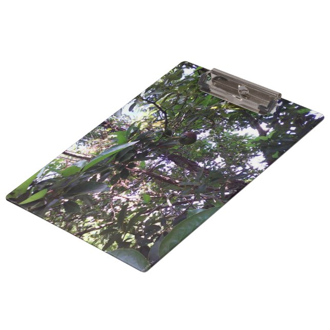 Porte-bloc Arbre d'avocat (Incliné)