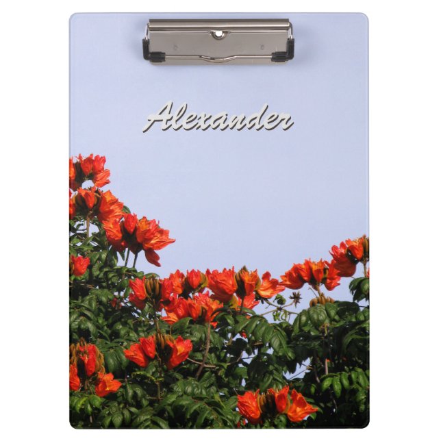 Porte-bloc Arbre de tulipe africain botanique tout texte (Devant)