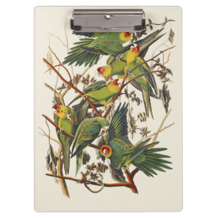 Porte-bloc Art ancien d'oiseau de la perruche de Caroline d'A