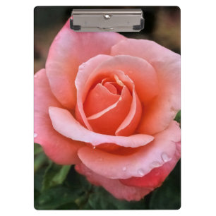 Porte-bloc Art botanique romantique Rose Imprimer