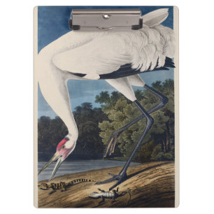 Porte-bloc Art vintage d'Audubon sur la grue criarde et la na