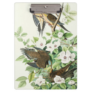 Porte-bloc Art vintage d'Audubon sur la tourterelle triste et