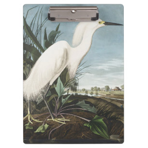 Porte-bloc Art vintage d'Audubon sur l'aigrette neigeuse et b