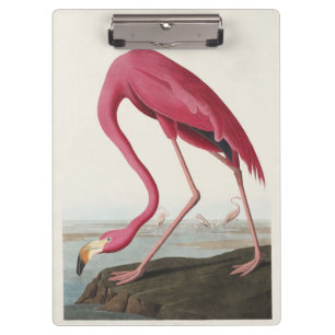 Porte-bloc Art vintage d'Audubon sur le flamant rose américai
