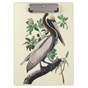 Porte-bloc Art Vintage d'Oiseau Marin Côtier Pélican Brun d'A