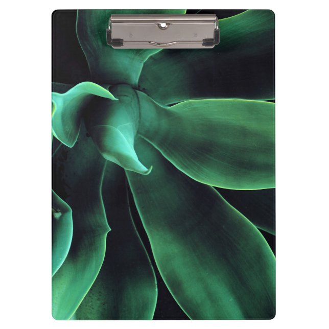 Porte-bloc Atténuata Agave Vert (Devant)
