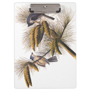 Porte-bloc Audubon Crested Titmouse Birds in Pine Tree