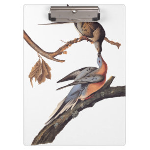 Porte-bloc Audubon Paire de baiser Pigeons voyageurs Épicerie