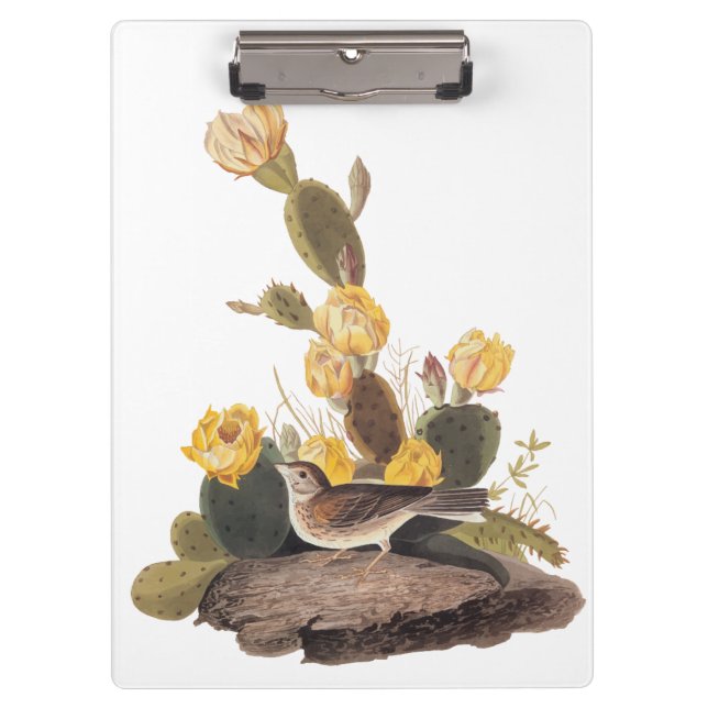 Porte-bloc Audubon Vesper Sparrow et Prickly Pear Cactus (Devant)