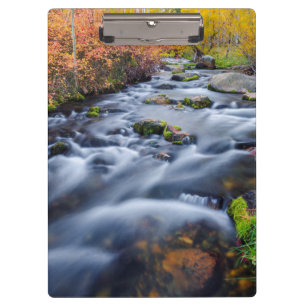 Porte-bloc Automne le long du ruisseau de Lundy, Californie